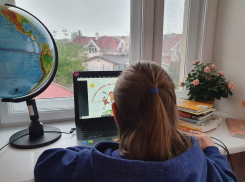 Через школьный электронный дневник мошенники обманывают жителей Ростовской области