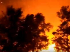 Проезжать мимо было нестерпимо жарко: ночью пожар снова бушевал рядом с Морозовском