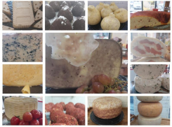 Сыр – это шаг молока в вечность! - сыродел из Морозовска Ирина Снисаренко