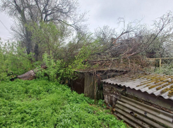 Убирать упавшее на сараи и крышу дерево 86-летней пенсионерке - ребенку войны в Морозовске предложили за свой счет