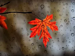 Слабый дождь может пройти в Морозовске во вторник