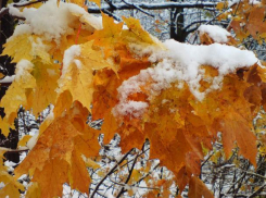 Настоящая зима придет в Морозовск в последний день уходящей недели