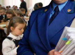 Шесть исковых заявлений об обеспечении безопасности в школах Морозовского района предъявила прокуратура