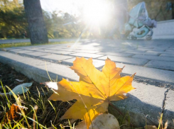 Суббота в Морозовске обещает быть солнечной и очень теплой