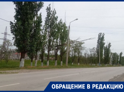 Огромный тополь завис на проводах над дорогой в Морозовске