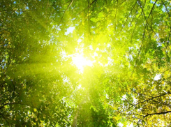 Потепление придет в Морозовск в середине недели