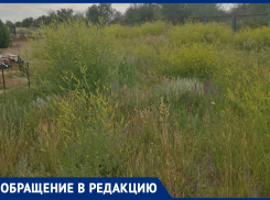 Кладбище заросло травой выше человеческого роста, - жители станицы Вольно-Донская 