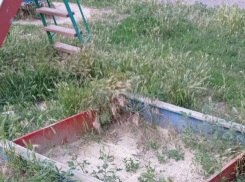Траву на детской площадке по адресу Истомина 135 в Морозовске пообещали выкосить до 5 июля