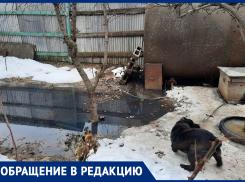 Зловонная жижа затопила дворы! - морозовчане