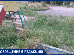 Такая картина из года в год! - морозовчанка о некошеной траве на детской площадке в районе сельмашевских домов