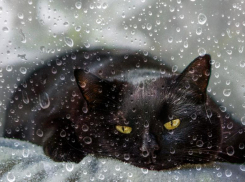 Выходные в Морозовске тоже будут дождливыми