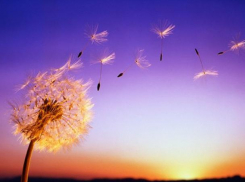 Выходные для Морозовска начнутся с тепла и ветра