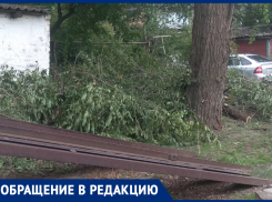 Ветки срезали и сказали: «Убирайте сами!» - жители переулка Первомайский