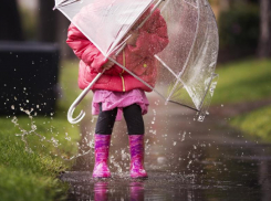 Дождь и +15 градусов тепла обещают синоптики в среду, 20 апреля