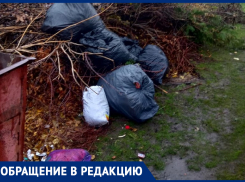 Неприятное соседство: жительница Морозовска пожаловалась на мусорные баки около ее дома