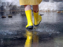 Всего 10 градусов тепла обещают морозовчанам в субботу