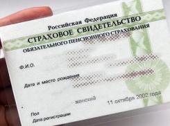 Уходит эпоха зеленых карточек: морозовчанам напомнили об изменении формата СНИЛС