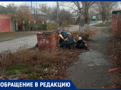 С самого утра заряд бодрости и энергии! – морозовчанка о свалке мусора и разбитом тротуаре