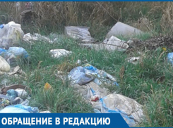 Каждый день хожу мима этого ужаса, - морозовчанка о несанкционированной свалке на улице Жукова