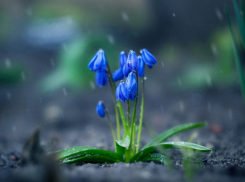 Синоптики снова обещают морозовчанам дождь