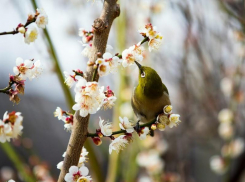 Переменную облачность и +19 градусов обещают морозовчанам в пятницу