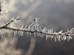 Пасмурную погоду без осадков прогнозируют синоптики в четверг