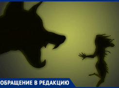 «Боимся даже через дорогу мусор вынести», - жительница улицы Ворошилова предупредила морозовчан об агрессивной соседской собаке