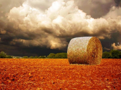 Пасмурно, но без осадков будет в Морозовске в пятницу, 12 августа