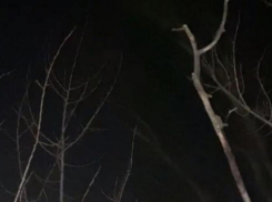 Около пяти взрывов слышали жители Морозовска ночью