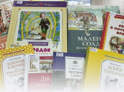 Библиотеки Морозовского района обновили фонды