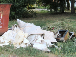 Гора мусора появилась возле бака за время обсуждения благоустройства Морозовска 