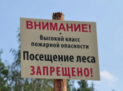 Сроки запрета на посещение леса продлили до конца июля
