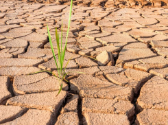 Погода в Морозовске останется солнечной и жаркой