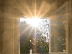 Теплый, солнечный день встретят морозовчане в четверг, 25 апреля