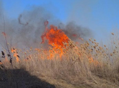 Чрезвычайная пожароопасность снова грозит Морозовску природными пожарами