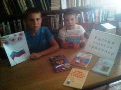 Письмо в редакцию: Беседа о славном триколоре прошла в Донсковском отделе библиотеки