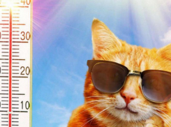 Переменная облачность и до +37 градусов в тени ожидается в Морозовске в четверг