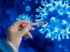 14 января: в Морозовском районе коронавирусом заболели еще пять человек