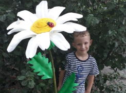 Богатая фантазия воспитанников детского сада «Солнышко» раскрылась в фотоконкурсе «Расскажи, ромашка» 