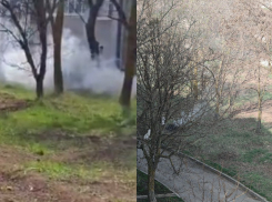 «Что это за беспредел!?»: в районе «Тексера» сжигают кучи сухих листьев