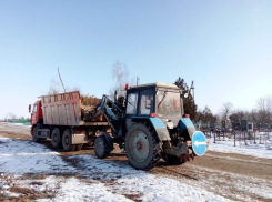 На Северном кладбище проводятся работы по формированию мест погрузки мусора