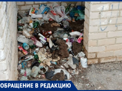 Кто должен убирать территории около ФОКа? - морозовчанка