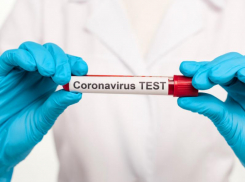 18 августа: подтвержденных случаев COVID-19 в Морозовске по-прежнему 66, выздоровлений - 50