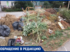 Люди упрямо продолжают складывать отходы около баков! – морозовчанка о мусорной свалке на улице Степана Разина