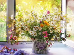 Потепление до +30 градусов обещают морозовчанам 2 июля