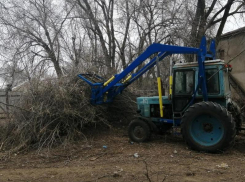 Заведующий Старо-Петровского детского сада поблагодарила за организацию спила деревьев
