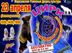 Фантастическое шоу теперь и в Морозовске: выиграй бесплатные билеты в цирк дополненной реальности