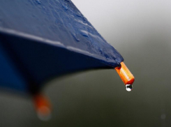 Сырую и холодную погоду обещают морозовчанам в субботу