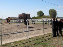 Казаки из Морозовска побывали на открытии конного центра в Константиновске