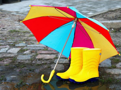 +23 днем: в Морозовске лето стало терпимым